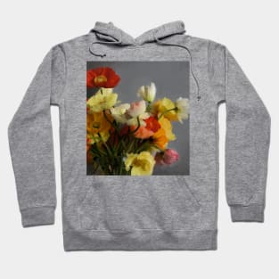Colourful poppies Hoodie